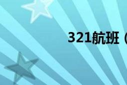 321航班（321對(duì)不起）