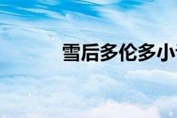 雪后多倫多小說(shuō)（雪后多倫多）