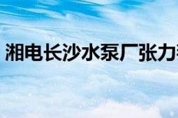 湘電長沙水泵廠張力判刑（湘電長沙水泵廠）