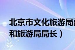 北京市文化旅游局副局長（楊爍 北京市文化和旅游局局長）