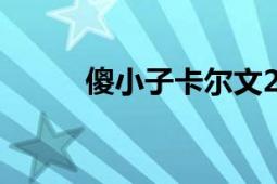 傻小子卡爾文2007年出演電視劇