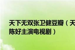 天下無雙張衛(wèi)健豆瓣（天下無雙 2003年張衛(wèi)健、關(guān)詠荷、陳好主演電視劇）