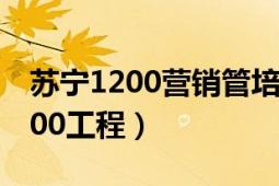 蘇寧1200營銷管培生校招待遇如何（蘇寧1200工程）