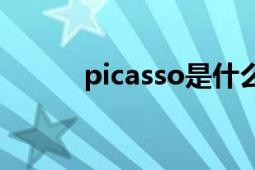 picasso是什么牌子（Picasa2）