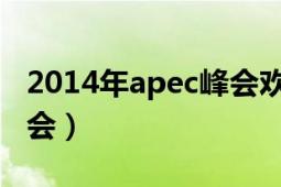 2014年apec峰會歡迎儀式（2014年APEC峰會）