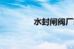 水封閘閥廠家（水封閘閥）