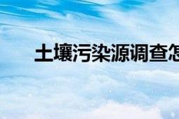 土壤污染源調(diào)查怎么寫（土壤污染源）