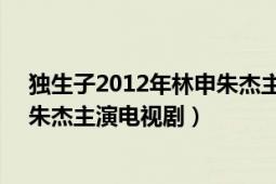 獨生子2012年林申朱杰主演電視?。í毶?2012年林申、朱杰主演電視劇）