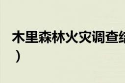 木里森林火災(zāi)調(diào)查結(jié)果（210木里縣森林火災(zāi)）