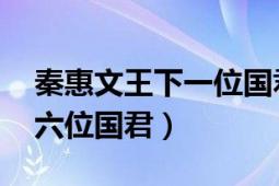 秦惠文王下一位國君（秦惠文王 秦國第二十六位國君）