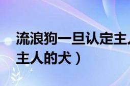 流浪狗一旦認定主人（流浪犬 沒有固定人類主人的犬）