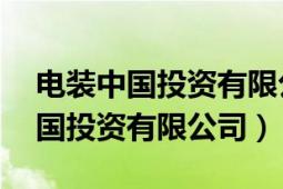 電裝中國投資有限公司天津分公司（電裝 中國投資有限公司）