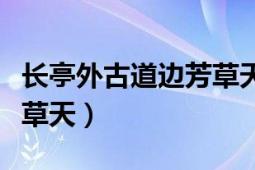 長(zhǎng)亭外古道邊芳草天什么梗（長(zhǎng)亭外古道邊芳草天）