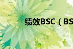 績效BSC（BSC 績效考核方式）