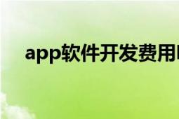 app軟件開發(fā)費用明細（APP軟件開發(fā)）