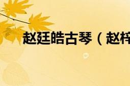 趙廷皓古琴（趙梓皓 青年古琴演奏家）