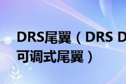 DRS尾翼（DRS Drag Reduction System可調(diào)式尾翼）