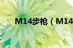 M14步槍（M14步槍 軍事武器槍械）