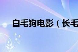 白毛狗電影（長毛狗 2006年美國電影）