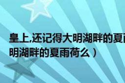 皇上,還記得大明湖畔的夏雨荷嗎（皇上您還記得十八年前大明湖畔的夏雨荷么）