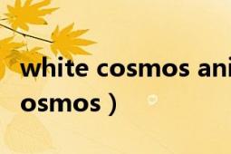 white cosmos animal crossing（White Cosmos）