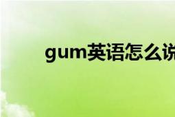 gum英語怎么說（gum 英語單詞）