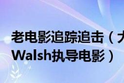 老電影追蹤追擊（大追蹤 美國1930年Raoul Walsh執(zhí)導(dǎo)電影）