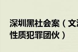 深圳黑社會案（文潤祥 廣東省深圳市黑社會性質(zhì)犯罪團伙）