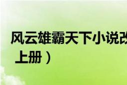 風(fēng)云雄霸天下小說改編（風(fēng)云雄霸天下小說版 上冊）