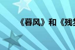 《暮風》和《殘夢》創(chuàng)作的網(wǎng)絡小說