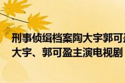 刑事偵緝檔案陶大宇郭可盈結(jié)局（刑事偵緝檔案 1995年陶大宇、郭可盈主演電視劇）