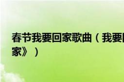 春節(jié)我要回家歌曲（我要回家 2012龍年春晚歌曲《我要回家》）