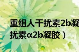 重組人干擾素2b凝膠多少錢一支（重組人干擾素α2b凝膠）