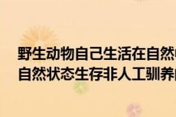 野生動物自己生活在自然中,不需要人類保護（野生動物園 自然狀態(tài)生存非人工馴養(yǎng)的各種動物的場所）