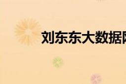 劉東東大數(shù)據(jù)網(wǎng)執(zhí)行主編兼CEO