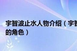 宇智波止水人物介紹（宇智波止水 日本漫畫《火影忍者》中的角色）