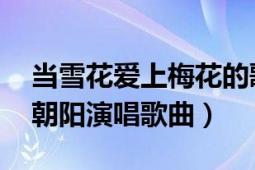 當(dāng)雪花愛上梅花的歌曲（當(dāng)雪花愛上梅花 牛朝陽演唱歌曲）