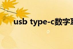 usb type-c數(shù)字耳機(jī)（USB Type-C）