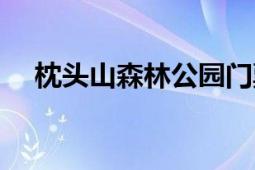 枕頭山森林公園門票（枕頭山森林公園）