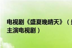 電視劇《盛夏晚晴天》（盛夏晚晴天 2013年劉愷威、楊冪主演電視劇）