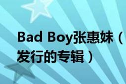 Bad Boy張惠妹（Bad Boy 張惠妹1997年發(fā)行的專輯）