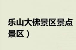 樂山大佛景區(qū)景點(diǎn)（樂山大佛 中國(guó)5A級(jí)旅游景區(qū)）