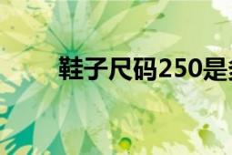 鞋子尺碼250是多少碼（鞋子尺碼）