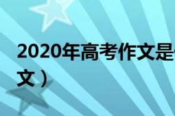 2020年高考作文是什么題目（2020年高考作文）