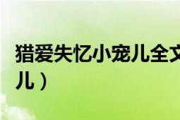 獵愛失憶小寵兒全文免費(fèi)閱讀（獵愛失憶小寵兒）