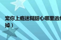 寵你上癮迷糊甜心哪里逃免費(fèi)閱讀（追上癮：總裁甜心逃不掉）