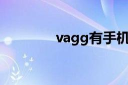 vagg有手機(jī)版嗎（vagga）