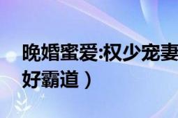 晚婚蜜愛:權(quán)少寵妻不低調(diào)（蜜愛晚婚：姐夫好霸道）