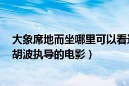 大象席地而坐哪里可以看這部電影（大象席地而坐 2018年胡波執(zhí)導的電影）