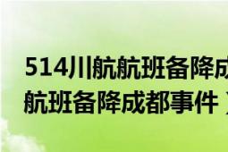 514川航航班備降成都事件紀錄片（514川航航班備降成都事件）